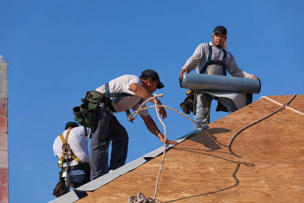 Best Commercial Roof Installation  in Black Creek, WI