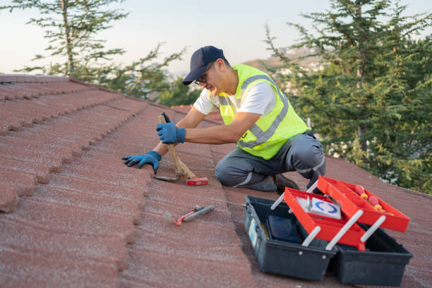 Best Metal Roofing Contractor  in Black Creek, WI